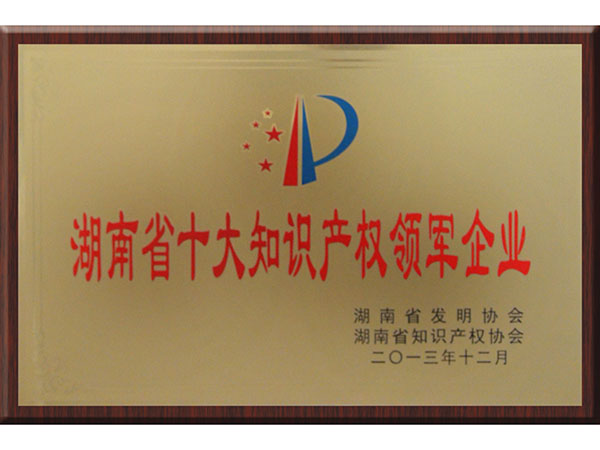 湖南省十大知識(shí)產(chǎn)權(quán)領(lǐng)軍企業(yè)